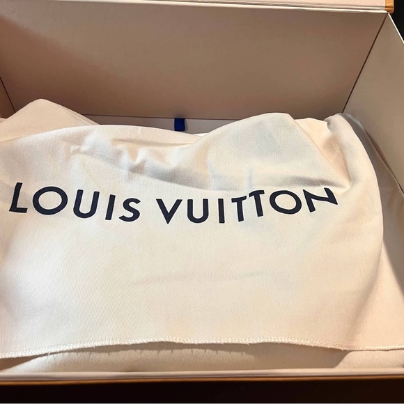 Louis Vuitton Loop Hobo - Picture 4 of 6